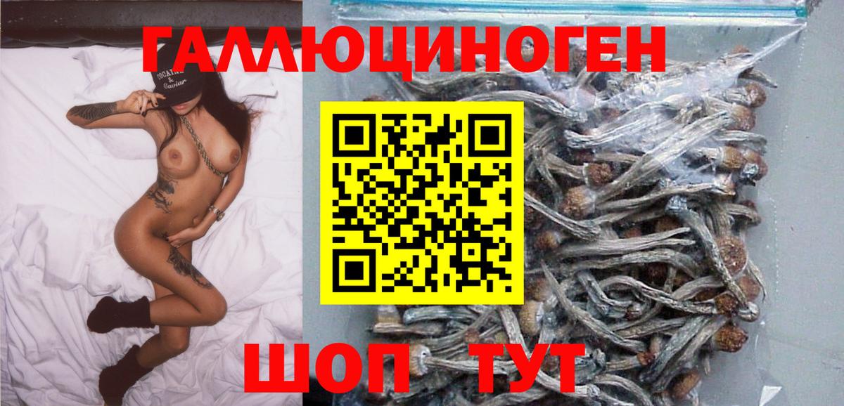 Псилоцибиновые грибы прущие грибы Назарово
